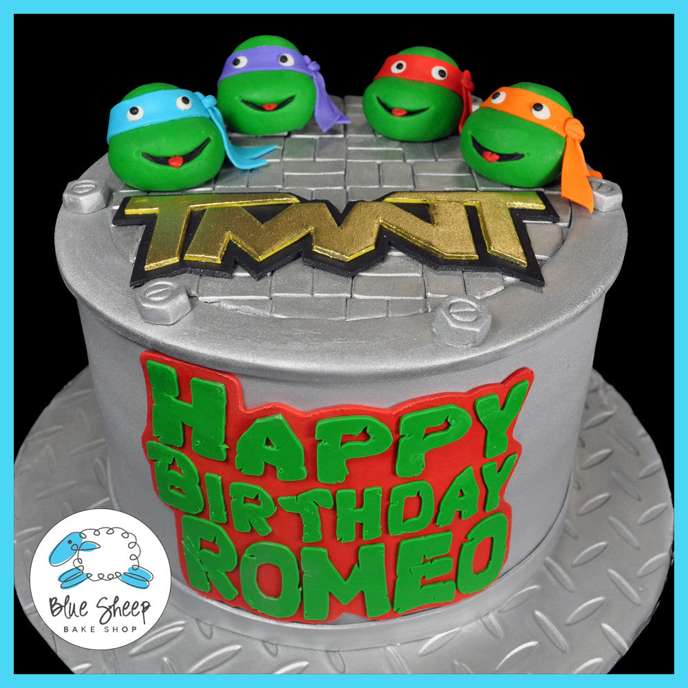 TMNJ teenage mutant ninja turtles birthday cake 