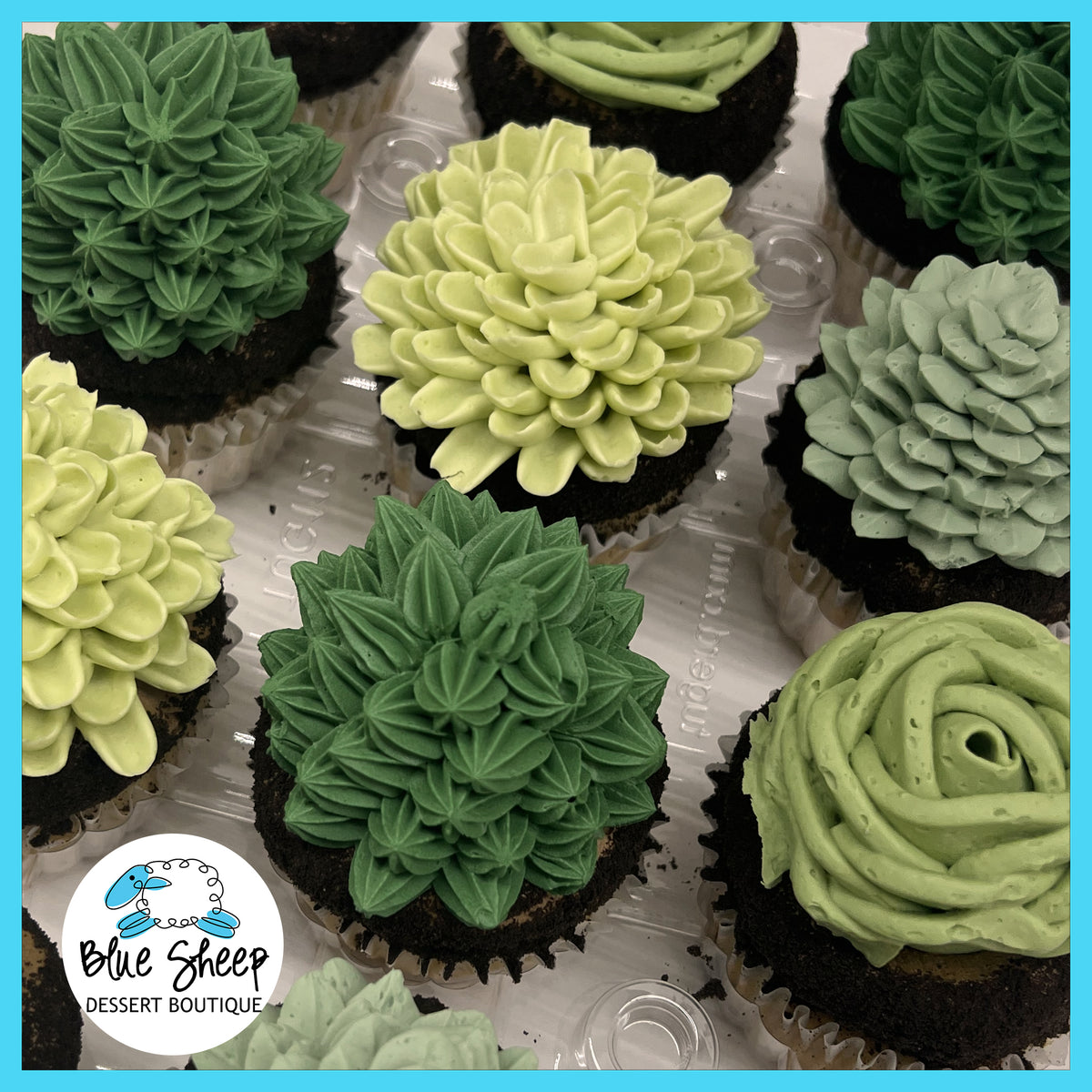 where to buy succulent cupcakes Succulent Inspired Cupcakes