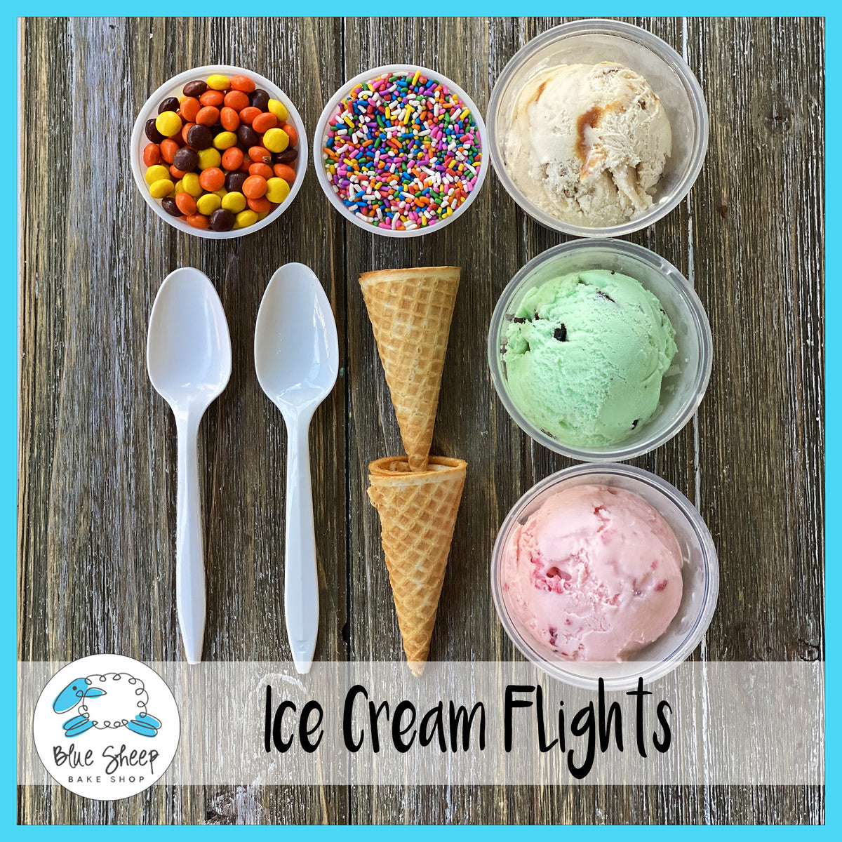 NEW!!! Ice Cream Flights Blue Sheep Bake Shop