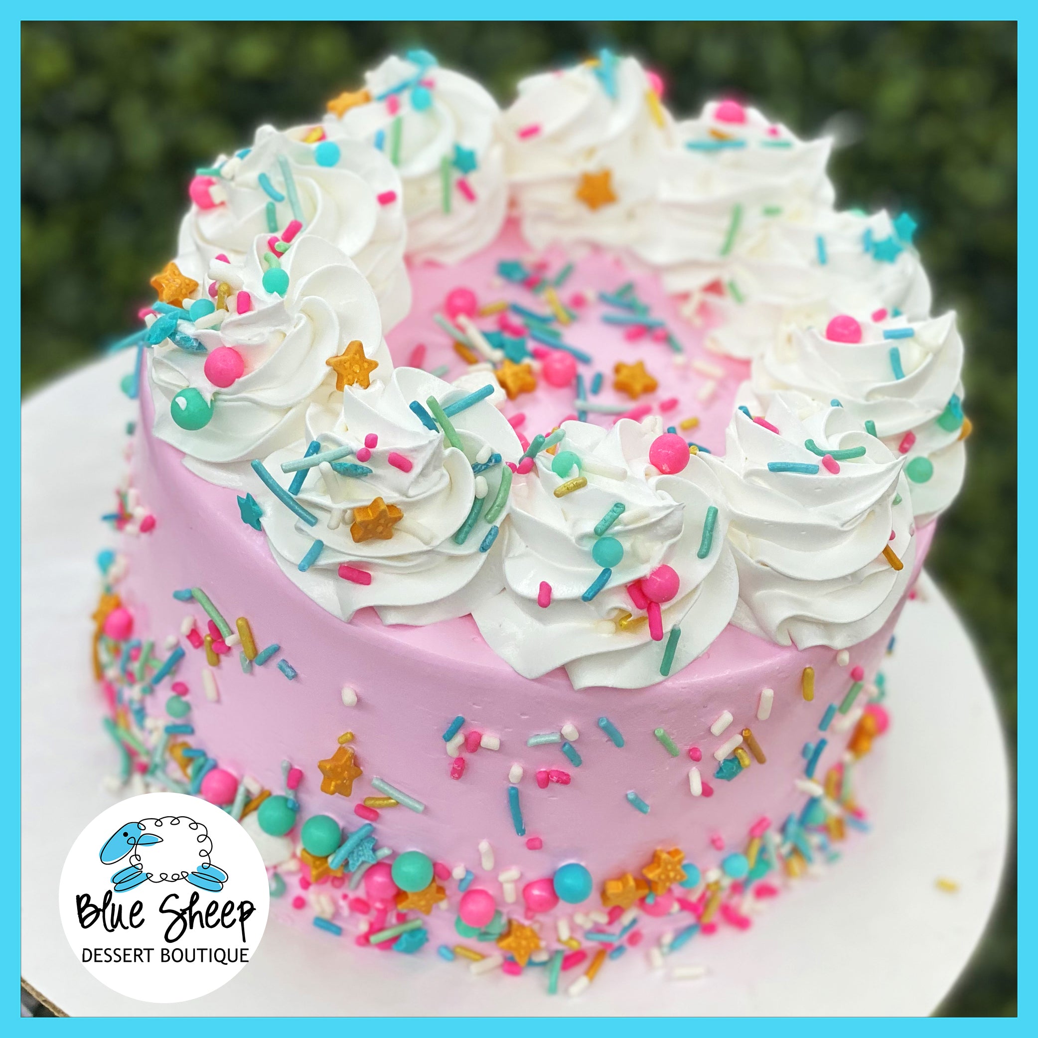 Sassy Sprinkles Ice Cream Cake